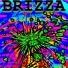 BRIZZA