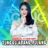 Diandra Ayu feat. Ageng Music