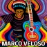 Marco Veloso