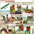 Evang Niyi Adedokun
