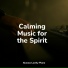 Piano Pianissimo, Piano Dreams, Yoga Piano Music