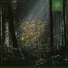ZeDe, Beats for Trees
