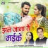 Raju Baghel, Anita Manikpuri