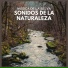 Sonidos De La Selva