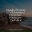 Yoga Music, Deep Sleep