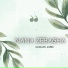 Hussain Aseer