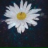 3aly