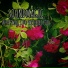 SOUNDMAGIC