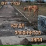 ВИА ГАДЫ