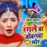 Bipin Bihari