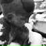 MJ Head