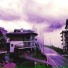 Summer Of Haze