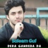 Saleem Gul