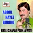 Abdul Hayee Buriro