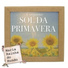 Conjunto Sol Da Primavera