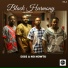 Black Harmony