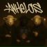 Sharestone, Alexolv, Nayma mtz