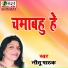 Nitu Pathak