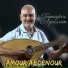 Amour Abdenour