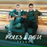 Koles, Paha