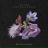 Microcosmos Chill-out