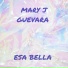 Mary j Guevara