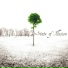 State Of Illusion