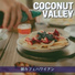Coconut Valley