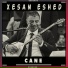Xesan Eshed