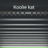 Koolie kat