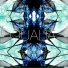 Qualia