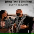 Şehmus Temel feat. Diren Temel