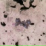 Undyed