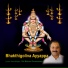 Sri Mohan Guruswamy