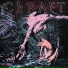 CKRAFT