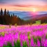 Luminote, Звуки Природы