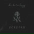 diskotechnyy
