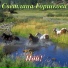 Светлана Горшкова