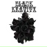 KT Kravitx