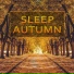 Relaxing Music Sleep