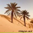 ناصر الرمحي