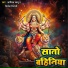 Aashiq babu, Vinod Videshi