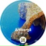 Amberg8