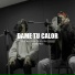 Dark Pro, Ciju Bless, Cilantro