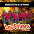 Los Primos de Guerrero