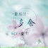 NCF-艾力