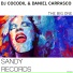Daniel Carrasco, Dj Cocodil