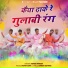 Ashish Pareek