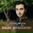 Saleh Jafarzadeh