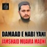 Jamshaid Muavia Madni